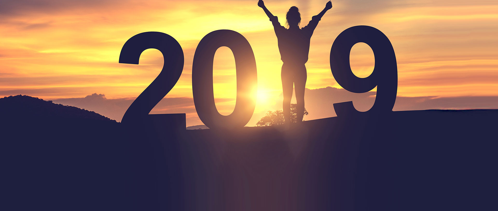 2019 Ausblick